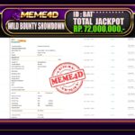 Bukti Jp MEME4D Slot Online 24 Juni 2025